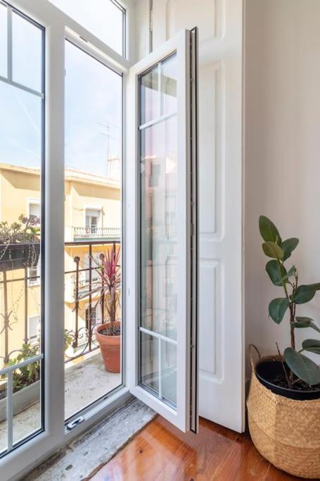 Apartment Casa Flores 4br + Office Space And A/c